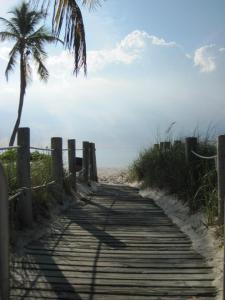 Path to sunny beach